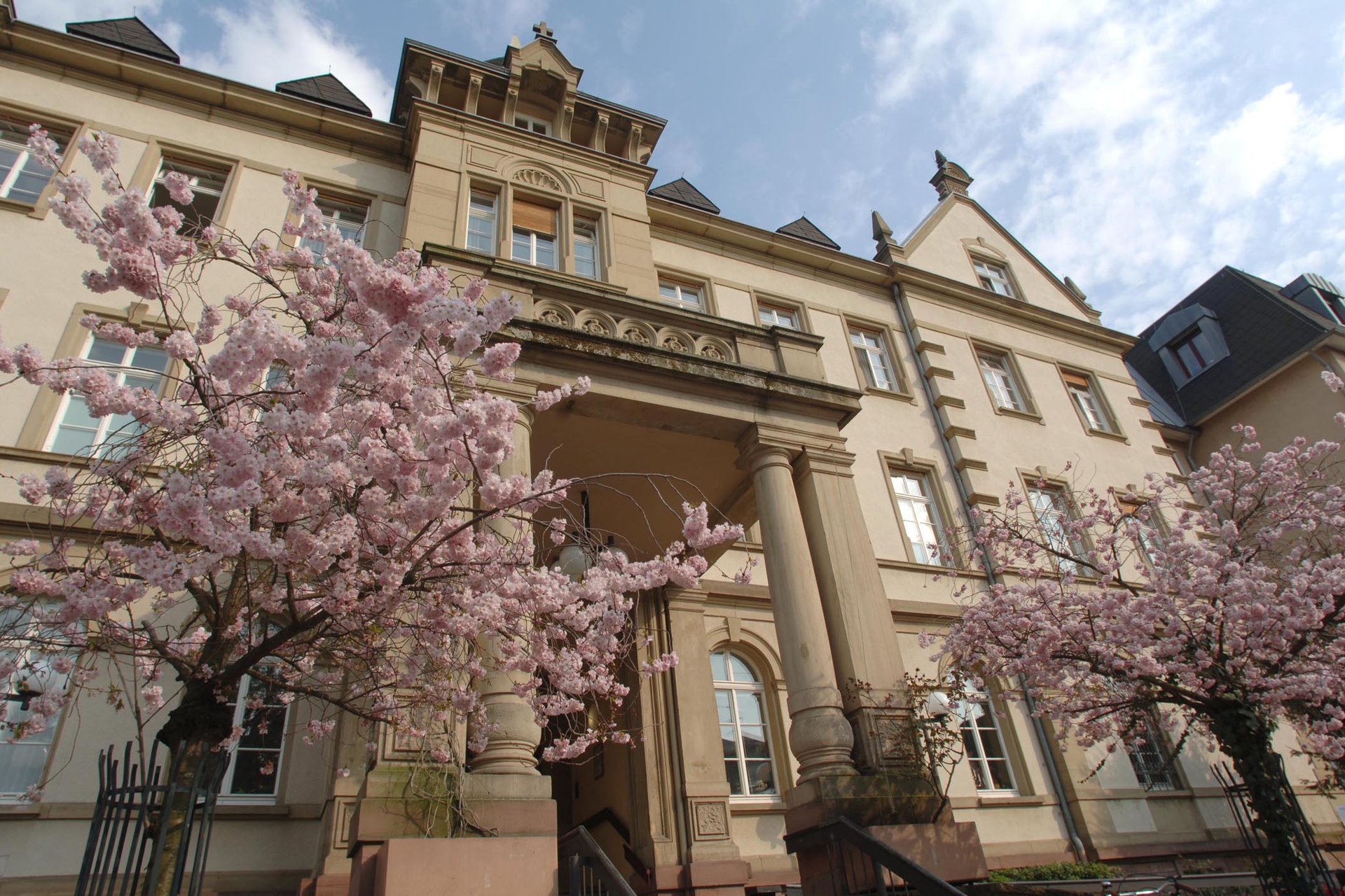 Haupteingang St. Josefskrankenhaus Freiburg mit blühenden Kirschbäumen